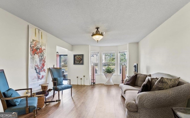475 Cascade Rise Ct, South Fulton, GA 30331 - sitting room featuring wood finished floors, healthy amount of natural light, and a textured ceiling