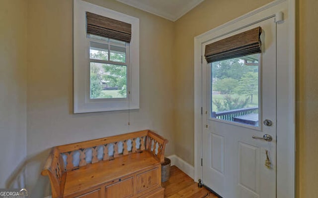 2156 Mockingbird Ln, Hiawassee, GA 30546 - doorway with light wood-style flooring and baseboards