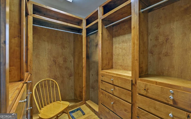 2156 Mockingbird Ln, Hiawassee, GA 30546 - view of spacious closet
