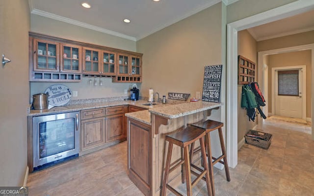2156 Mockingbird Ln, Hiawassee, GA 30546 - bar area with a sink, crown molding, recessed lighting, and baseboards