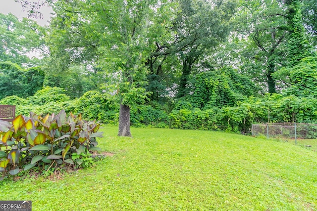 933 Capitol View Ave NW, Atlanta, GA 30318 - view of yard