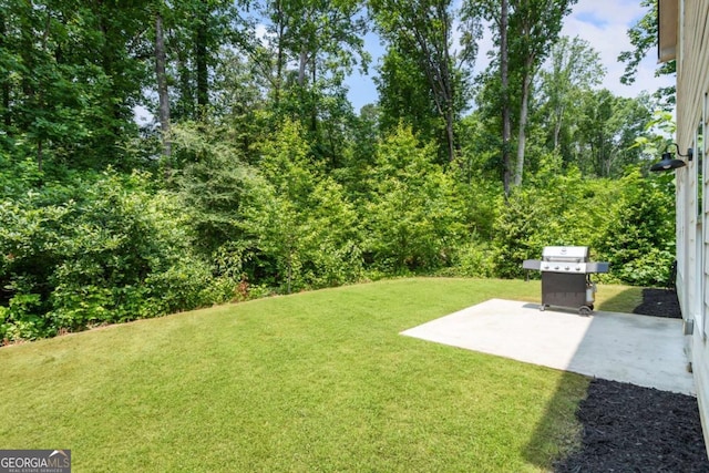 160 Winner St, Acworth, GA 30102 - view of grassy yard with a patio area