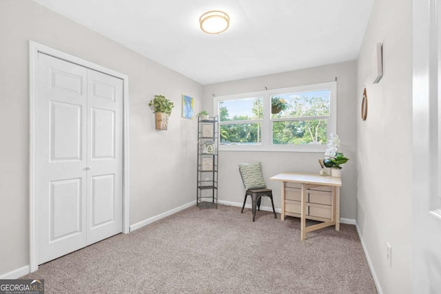 390 Lincoln Pl SW, Atlanta, GA 30315 - sitting room featuring carpet and baseboards