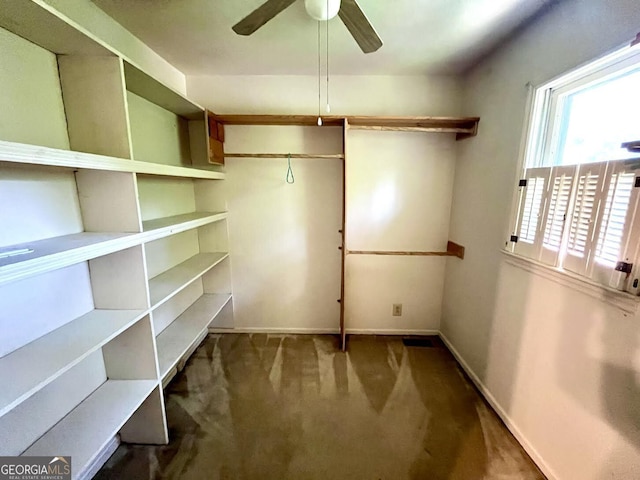 2972 Clairmont Ave, Macon, GA 31204 - walk in closet featuring carpet and a ceiling fan