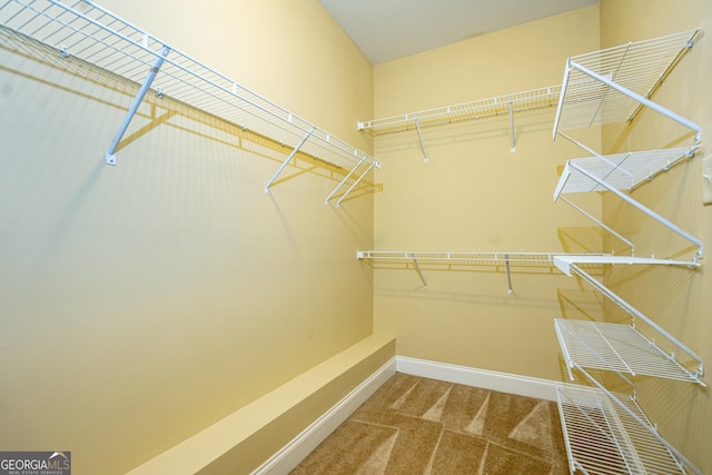 104 Hamilton Lake View Ct, Lagrange, GA 30241 - spacious closet featuring carpet