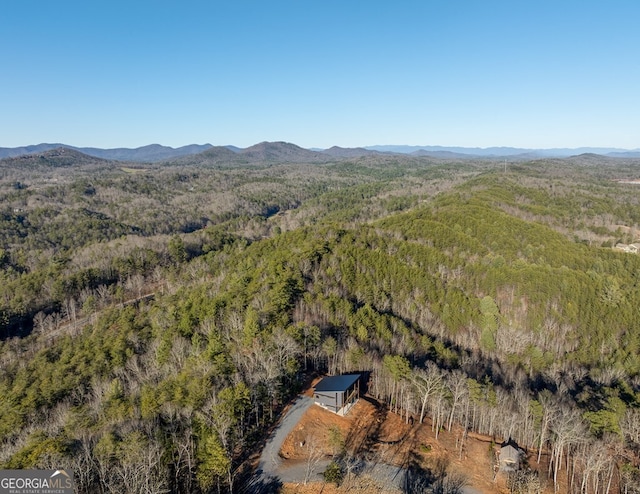 538 Mountain Laurel Rdg, Mineral Bluff, GA 30559 - drone / aerial view of a forest and a mountainous background