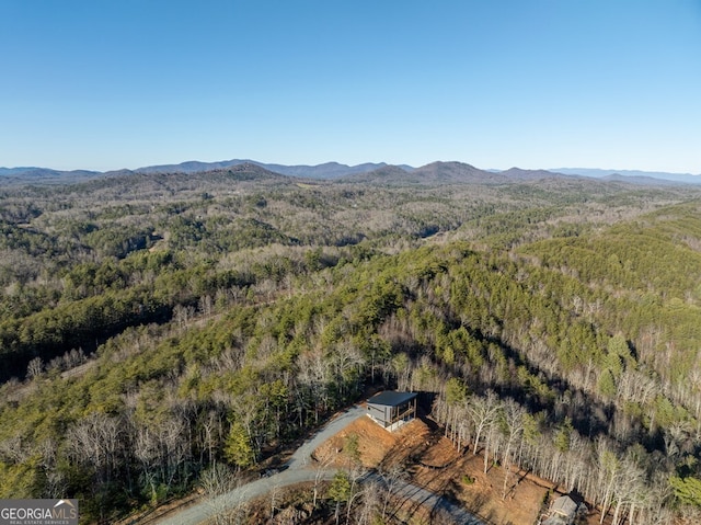 538 Mountain Laurel Rdg, Mineral Bluff, GA 30559 - mountain view with a forest