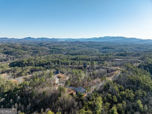 538 Mountain Laurel Rdg, Mineral Bluff, GA 30559 - aerial view of property's location featuring a forest and mountains
