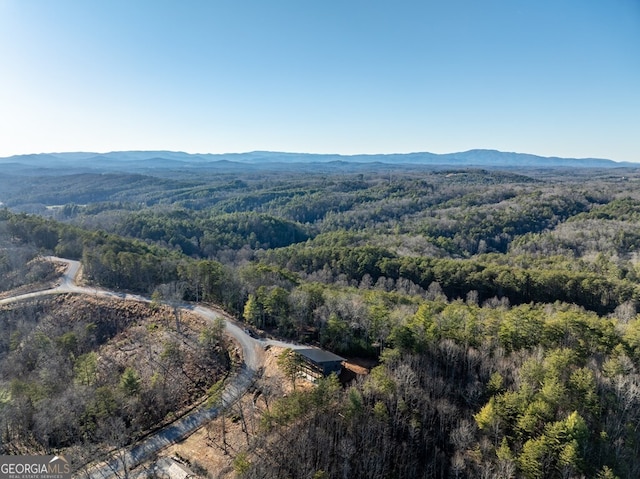 538 Mountain Laurel Rdg, Mineral Bluff, GA 30559 - view of property location featuring a forest and a mountain backdrop