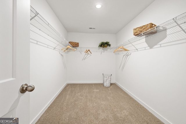 247 Annie Ln, Statham, GA 30666 - walk in closet featuring light colored carpet