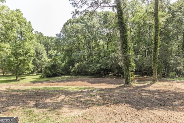 1017 Oak Ridge Dr, Byron, GA 31008 - view of woods