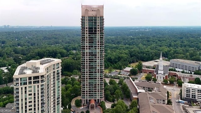 750 Park Ave NE Unit 6E, Atlanta, GA 30326 - view of city featuring a forest