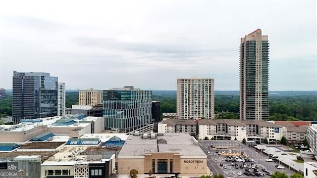 750 Park Ave NE Unit 6E, Atlanta, GA 30326 - view of city