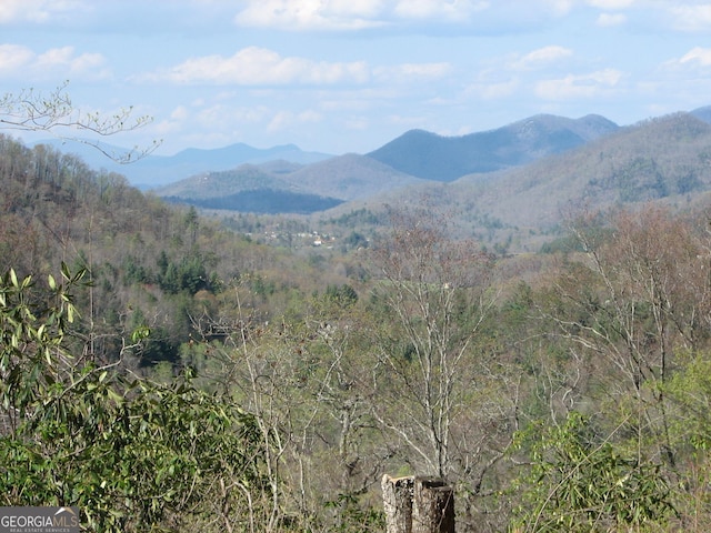 LOT18 Wynngate Dr, Dillard, GA 30537