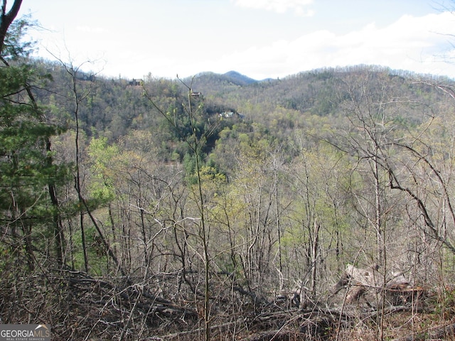 LOT18 Wynngate Dr, Dillard, GA 30537