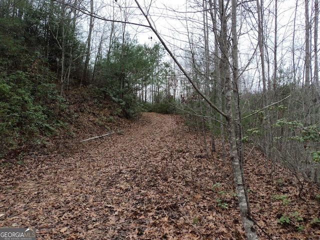 LOT18 Wynngate Dr, Dillard, GA 30537