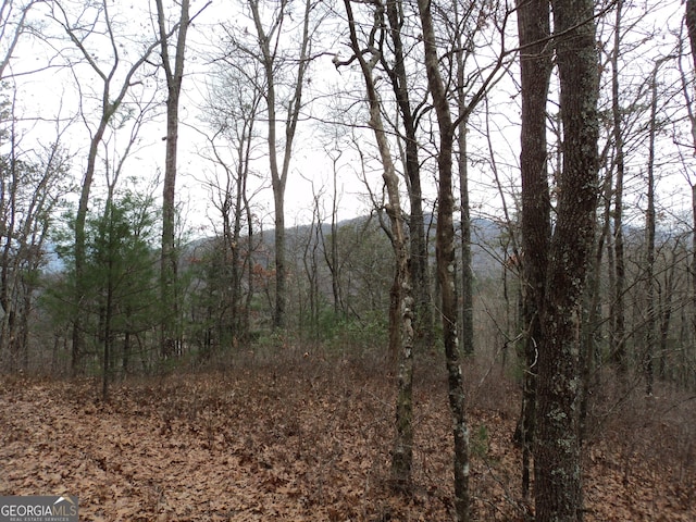 LOT18 Wynngate Dr, Dillard, GA 30537