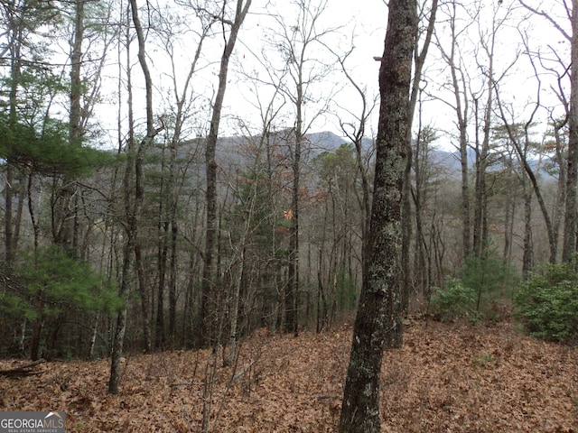 LOT18 Wynngate Dr, Dillard, GA 30537