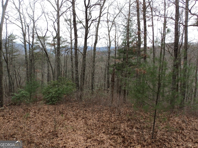 LOT18 Wynngate Dr, Dillard, GA 30537
