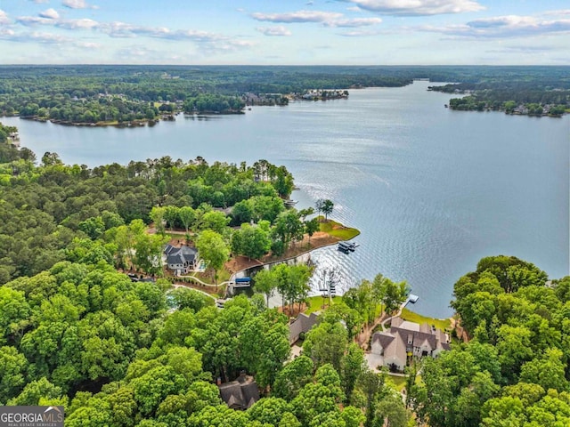117 W View Way, Eatonton, GA 31024 - bird's eye view of a nearby body of water