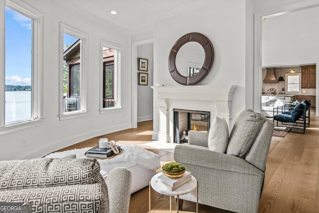 117 W View Way, Eatonton, GA 31024 - living area featuring wood finished floors, plenty of natural light, a fireplace with flush hearth, crown molding, and recessed lighting