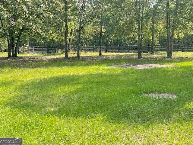 1167 Underwood, Sparta, GA 31087 - view of yard