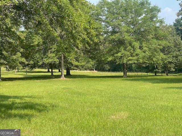 1167 Underwood, Sparta, GA 31087 - view of community featuring a yard