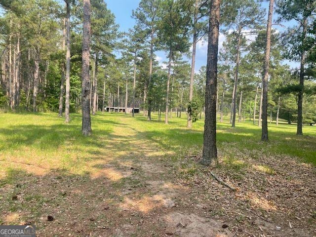 1167 Underwood, Sparta, GA 31087 - view of yard
