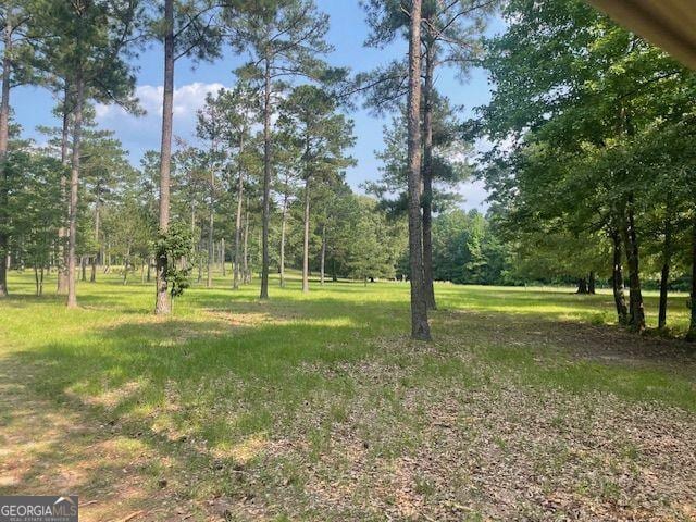 1167 Underwood, Sparta, GA 31087 - view of green lawn