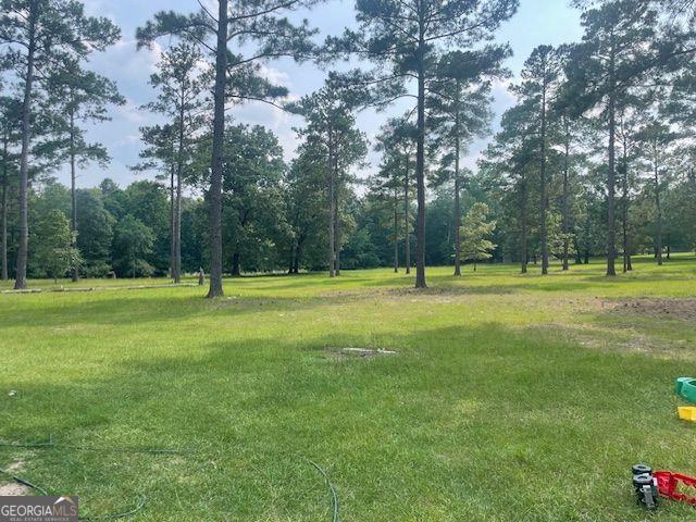 1167 Underwood, Sparta, GA 31087 - view of grassy yard featuring a wooded view