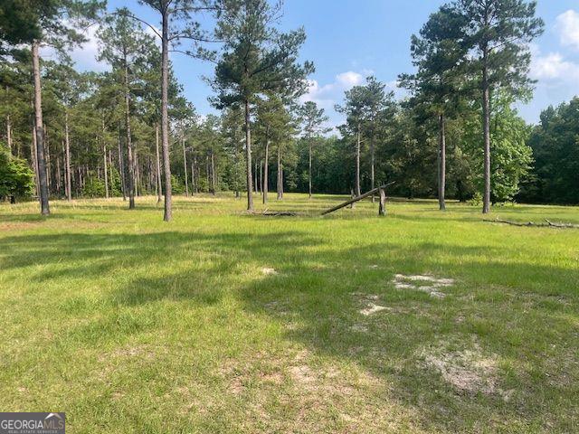 1167 Underwood, Sparta, GA 31087 - view of green lawn with a view of trees