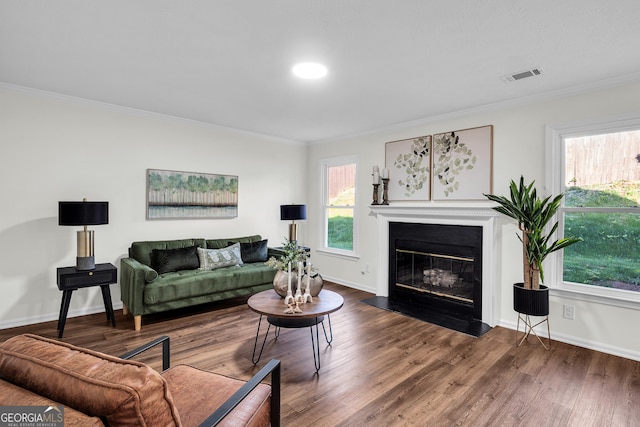 1172 Rockmart Cir NW, Kennesaw, GA 30144 - living area with crown molding, a glass covered fireplace, and dark wood finished floors