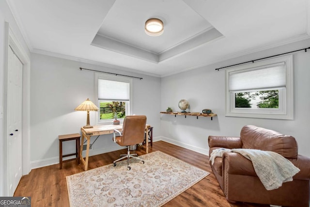 14905 Thompson Rd, Milton, GA 30004 - office area with healthy amount of natural light, a raised ceiling, crown molding, and wood finished floors