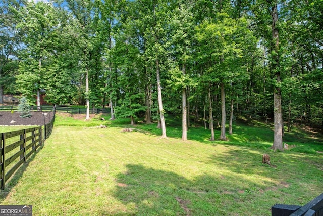 14905 Thompson Rd, Milton, GA 30004 - view of yard