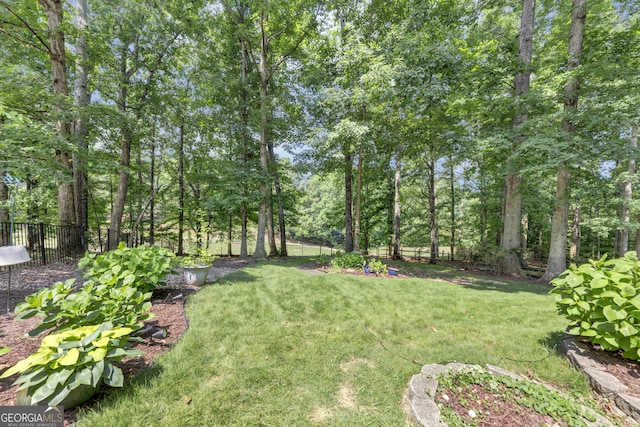 3535 Fairgreen Ct, Douglasville, GA 30135 - view of yard