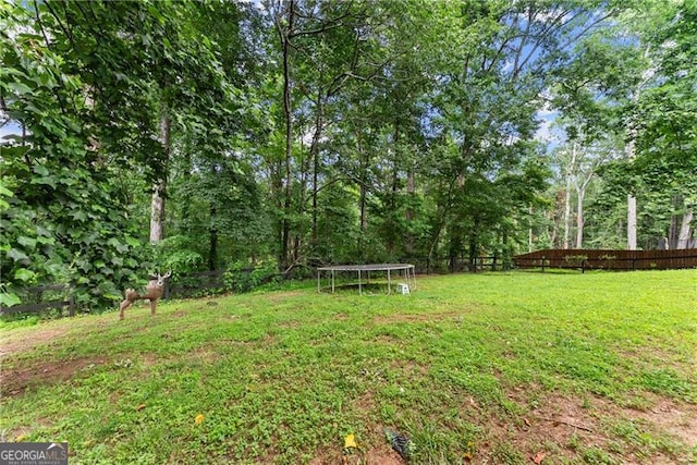5510 Pilgrim Point Ext, Cumming, GA 30041 - view of yard with a trampoline