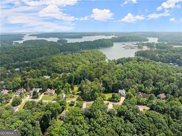 5510 Pilgrim Point Ext, Cumming, GA 30041 - aerial view of a heavily wooded area and a large body of water