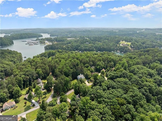 5510 Pilgrim Point Ext, Cumming, GA 30041 - drone / aerial view of a forest and a large body of water