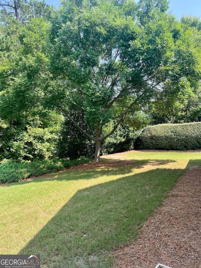 1000 Deep Water Way, Greensboro, GA 30642 - view of green lawn