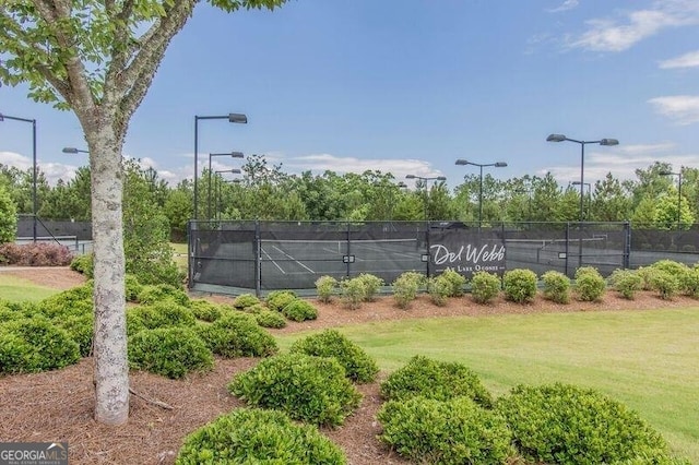 1000 Deep Water Way, Greensboro, GA 30642 - view of tennis court