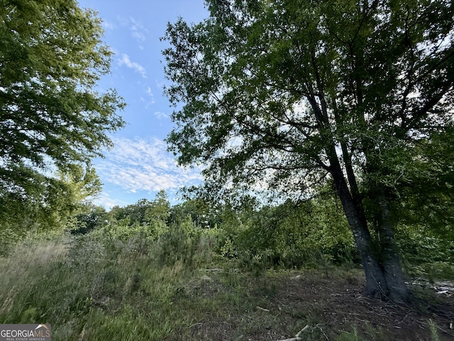 1078 Lithonia Church Rd, Norwood, GA 30821