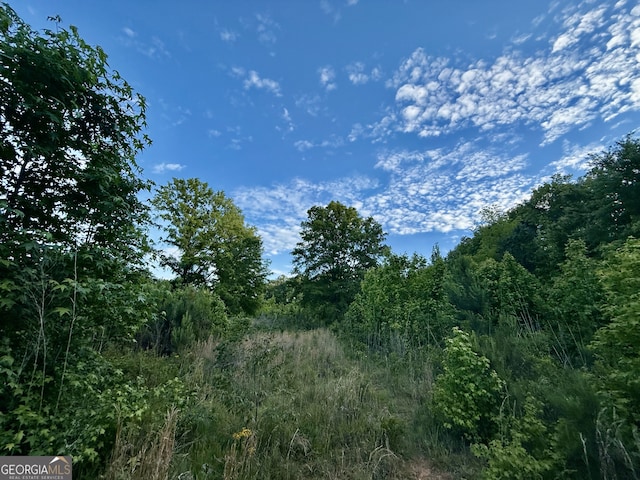 1078 Lithonia Church Rd, Norwood, GA 30821