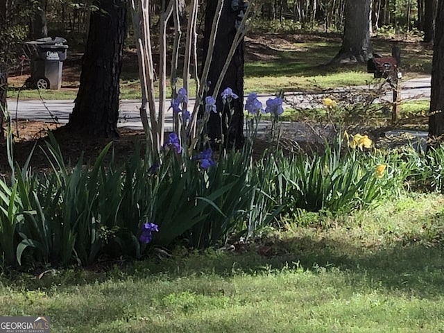 1744 Campbell Rd, Covington, GA 30014 - view of yard