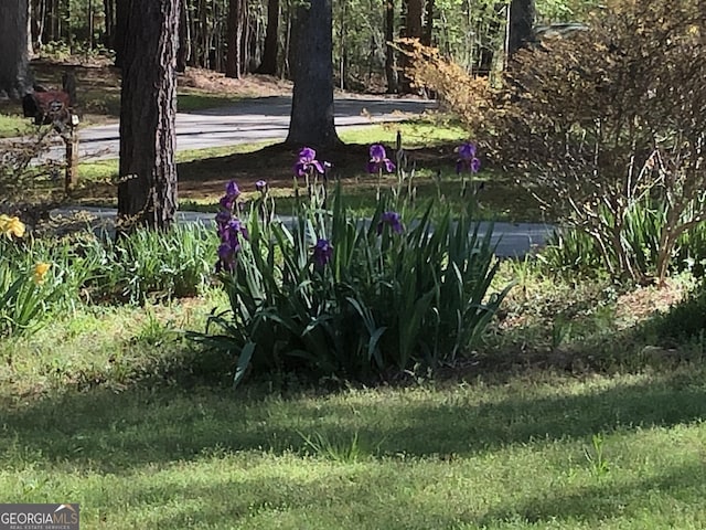 1744 Campbell Rd, Covington, GA 30014 - view of yard
