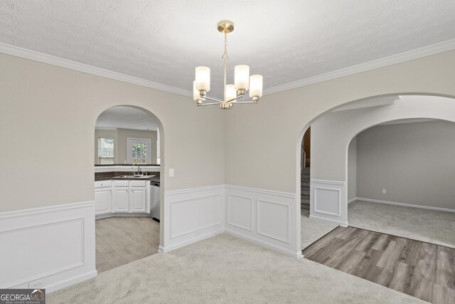 165 Heaton Place Trl, Covington, GA 30016 - unfurnished room with a sink, a chandelier, a wainscoted wall, crown molding, and arched walkways