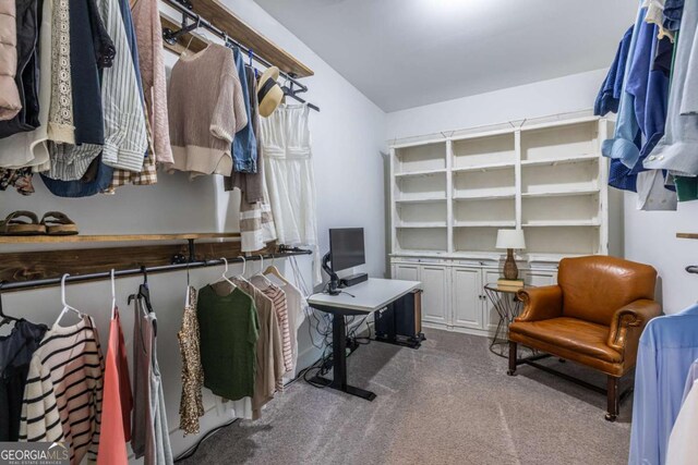 1753 Russell St SE, Atlanta, GA 30316 - spacious closet featuring carpet floors