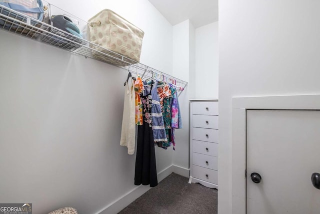 1753 Russell St SE, Atlanta, GA 30316 - spacious closet with carpet floors