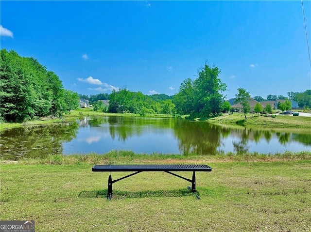 5996 Screech Owl Dr, Flowery Branch, GA 30542 - view of property's community with a water view and a yard