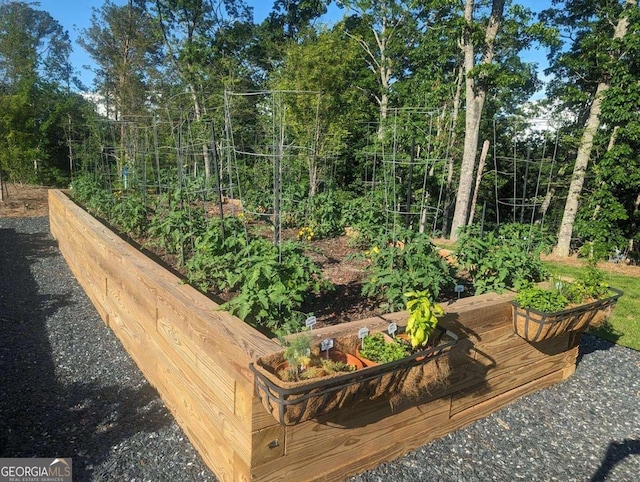 1045 Pine Bark Ln, Canton, GA 30114 - deck featuring a vegetable garden