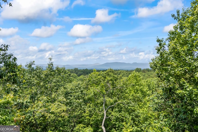 894 Oak Pointe Dr, Cleveland, GA 30528 - view of mountain backdrop featuring a forest